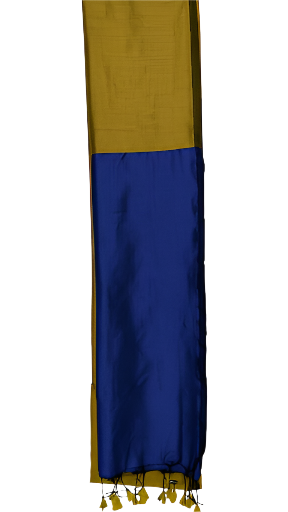 Fusion Finesse : Two Colour Sarees