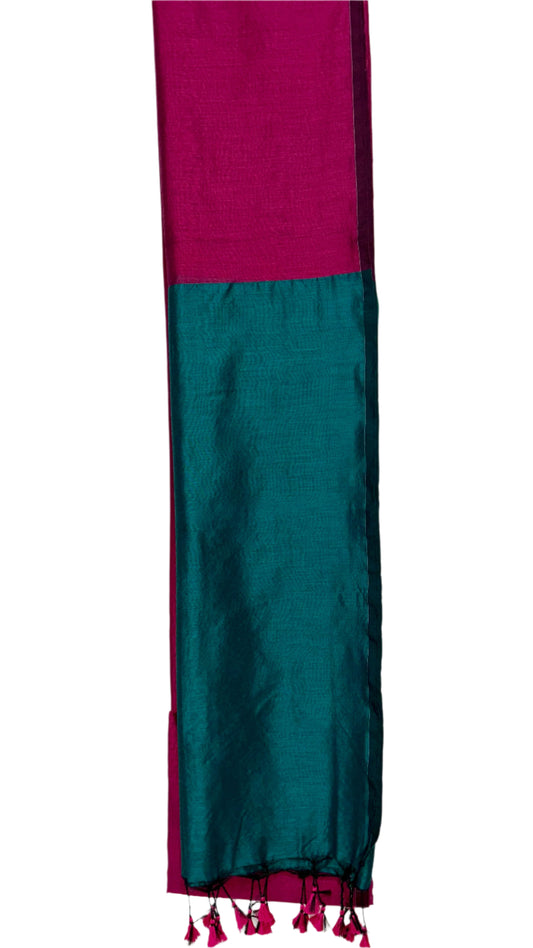 Fusion Finesse : Two Colour Sarees