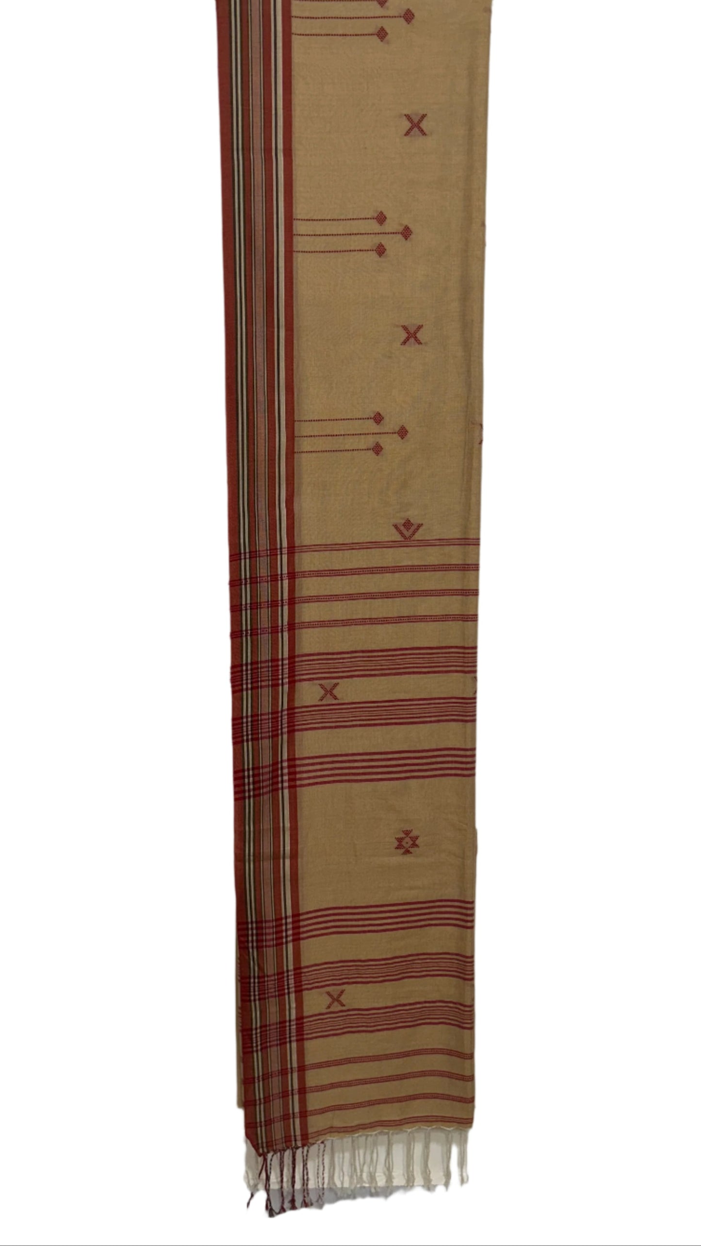 BHAAVRIKAA BUJODI SAREE