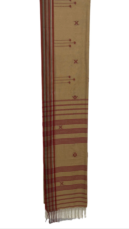 BHAAVRIKAA BUJODI SAREE