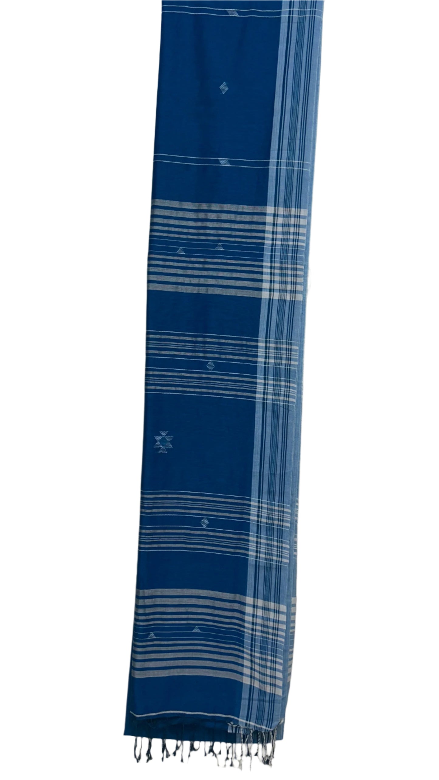 BHAAVRIKAA BUJODI SAREE